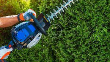 Execution of Landscaping Plans